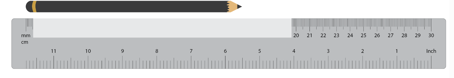 A ruler and a pencil measured at a length of an estimated 15-16cm or 150-160mm.