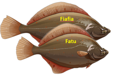 Two flounder fish, captioned "Fiafia" and "Fatu", placed on top of each other.