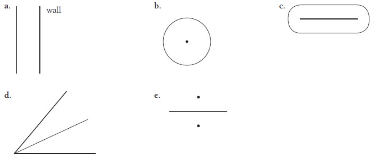 5 examples of different loci (both straight and circular). 