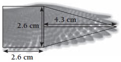 An illustration of Kārearea's wing area measuring 6.8 centimeters long. 