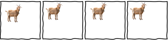Four white squares with a wobbly black outline and a brown goat in each square.