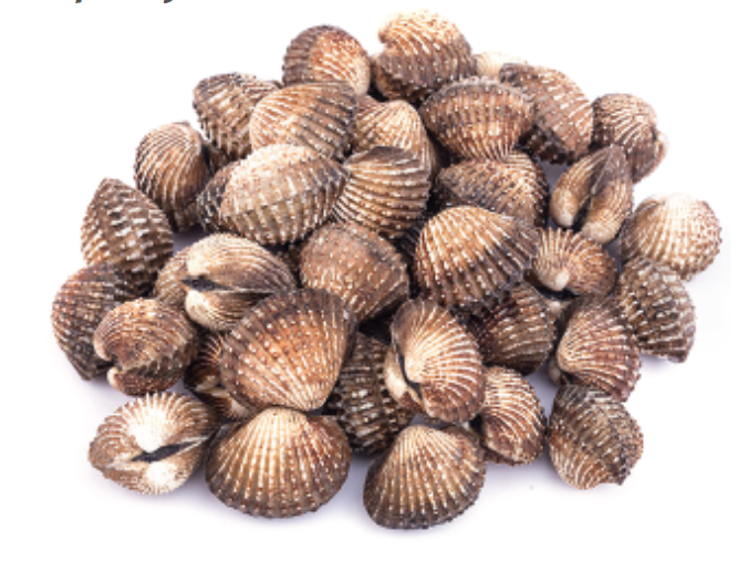 A large pile of cockle shells. 