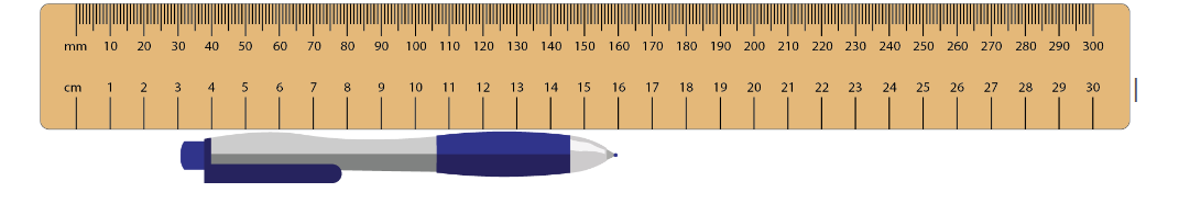 A ruler and pen measured at the baseline of 3 cm up to 16 cm finding 16 – 3 = 13 cm in length.