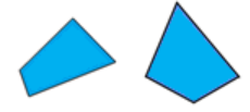 Two four-sided polygons that have no equal sides or angles, which are sometimes called scalene quadrilaterals.