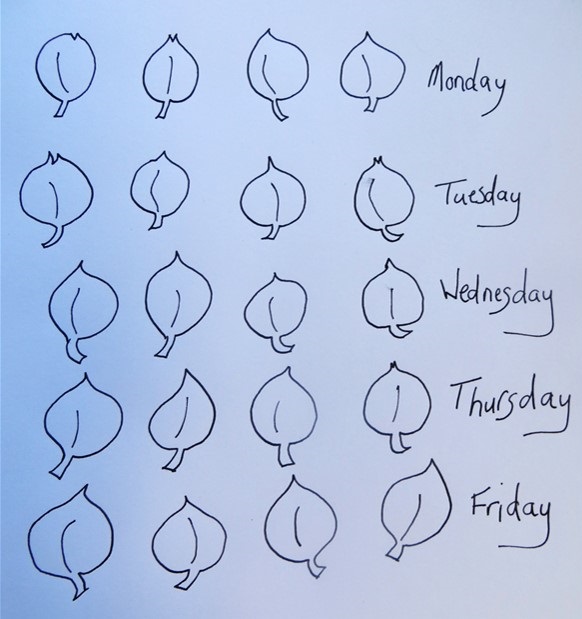 Image of an array showing the number of ili made by Kenese overt the course of a week.