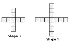 Two cuboid nets, titled shape 3 and 4. 