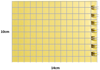 Yellow notebook with dimensions of 14 cm by 10 cm.