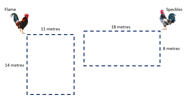 Two rectangles, one for Flame and one for Speckles. Flame has a perimeter of 11 x 14 meters and Speckles has a perimeter of 18 x 8 meters. 