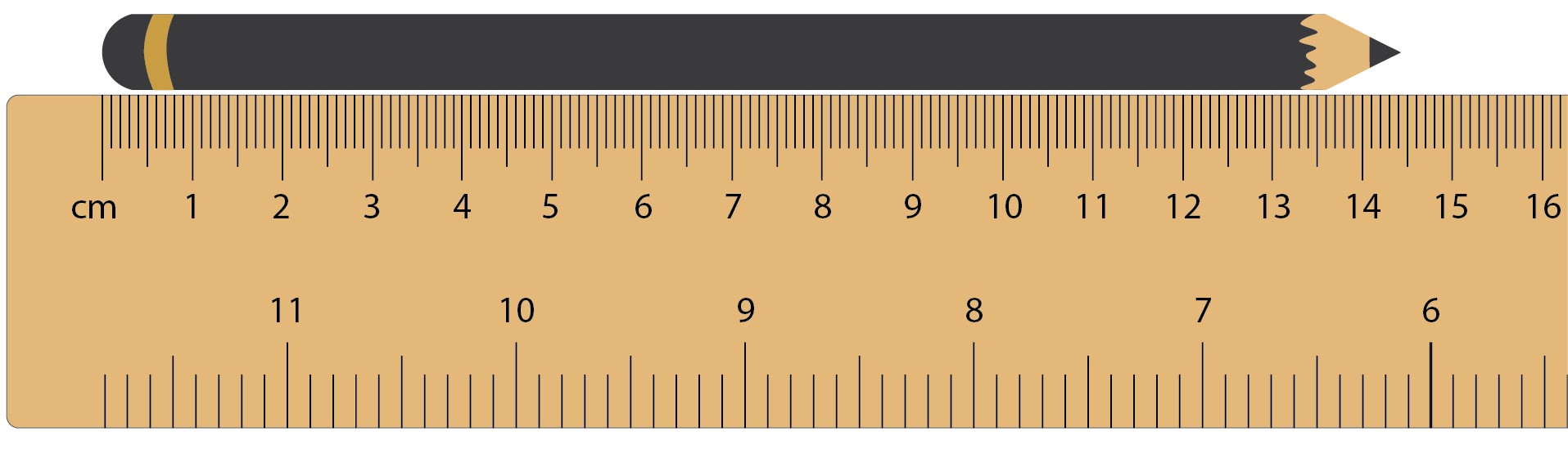 A pencil measuring alongside a ruler, measuring between 0 and 14.5 centimeters. 