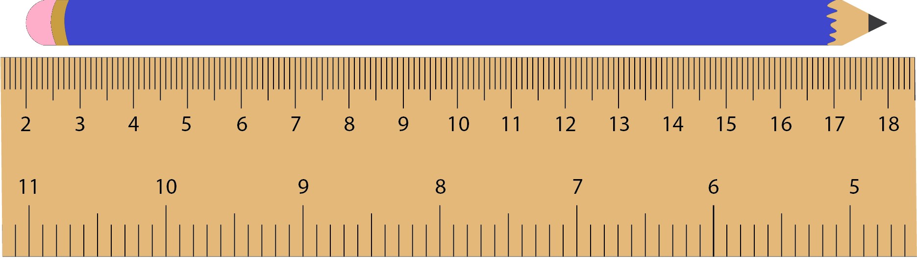 Pencil measuring alongside a ruler at a length between 2 and 18 centimetres.