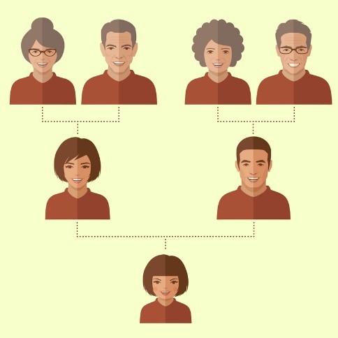 A diagram of direct ancestors (parents, grandparents) in a whakapapa.
