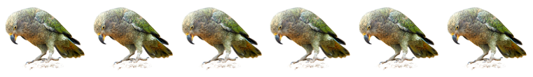 Six kea cards in line.