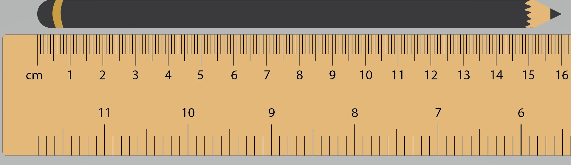 Pencil measuring alongside a ruler at a length between 0 and 16 centimetres.