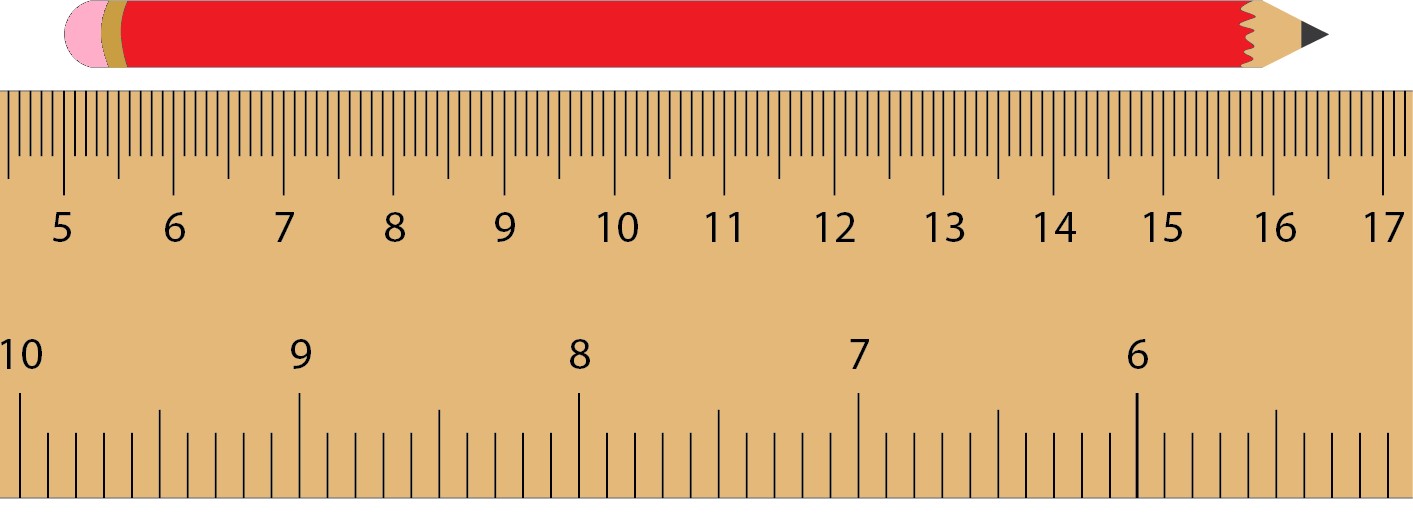 Pencil measuring alongside a ruler at a length between 5 and 16.5 centimetres.