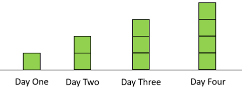 Square blocks representing the growth of a plant over four days.