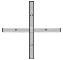 A central square and four arms of 20 squares.
