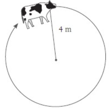 Circular circumference measuring 4 meters wide. 