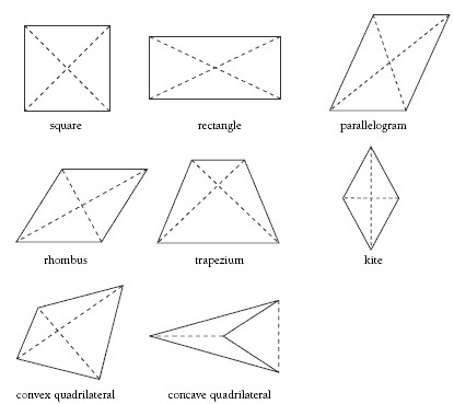 Eight different shapes with two diagonals.