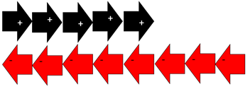 10 arrows, 5 positive and 8 negative. 