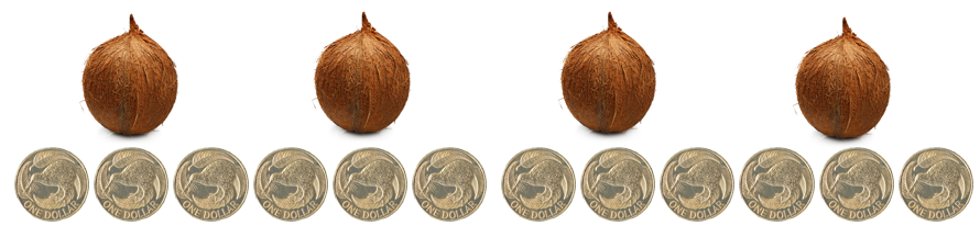 A row of four coconuts arranged side by side and directly underneath twelve one dollar coins arranged side by side.
