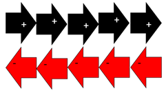 10 arrows, 5 positive and 5 negative. 