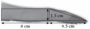 An illustration of Albatross' wing area measuring 10.4 centimeters long with a width of 1.5 centimeters..