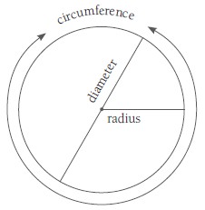 An illustration of a circle showing circumference, diameter and radius.