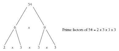 A number tree of the prime factors of 54.