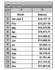 Spreadsheet of monthly balance costs. 