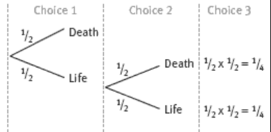 Graph of probability of survival 1/4.