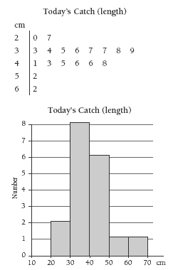 Stem-and-leaf graph and a bar graph that shows the lengths of the fish caught.