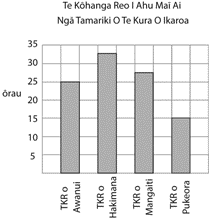 He whakaahua e tautoko ana i ngā ākonga kia whai māramatanga ki ngā mahi pāngarau 