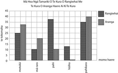 He whakaahua e tautoko ana i ngā ākonga kia whai māramatanga ki ngā mahi pāngarau 