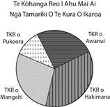 He whakaahua e tautoko ana i ngā ākonga kia whai māramatanga ki ngā mahi pāngarau 