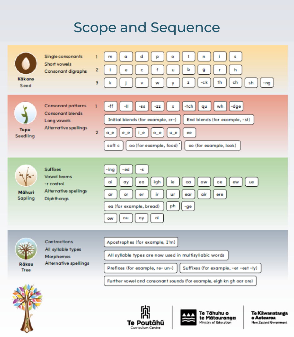 A preview of the scope and sequence showing the four phases, Kākano, Tupu, Māhuri and Rākau