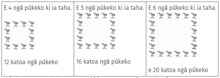 He whakaahua e tautoko ana i ngā ākonga kia whai māramatanga ki ngā mahi pāngarau