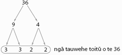 He whakaahua e tautoko ana i ngā ākonga kia whai māramatanga ki ngā mahi pāngarau