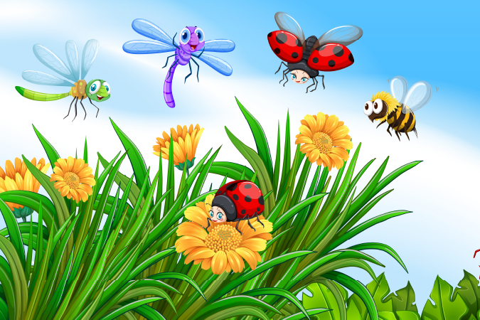 Cartoon illustration of dragonflies, ladybugs and a bee flying amongst a flower garden.