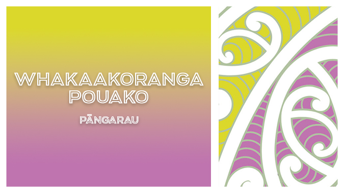 Whakaakoranga-Pouako-hero.jpg