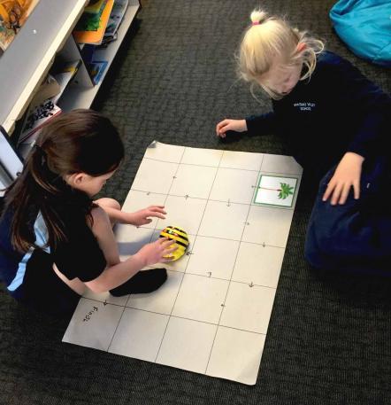 Students using Bee-Bots together.  