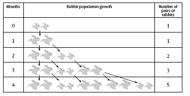 Table showing the increase in population of rabbits.  Zero months one pair, at 4 months there are 5 pairs.