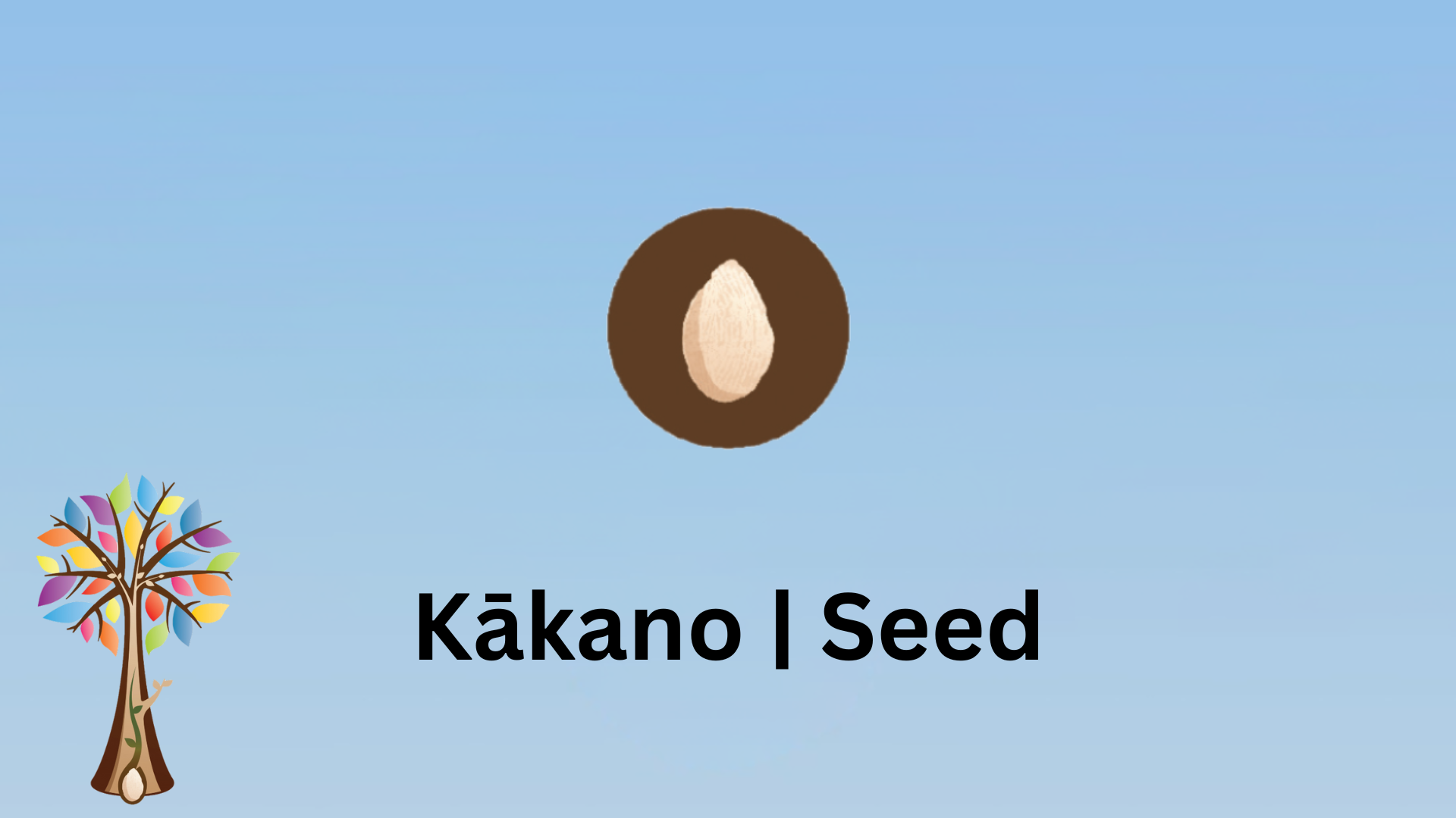 Central Image of a seed on brown background with a left hand image of the Ready to Read Phonics Plus Tree. Central text saying Kakano | Seed.