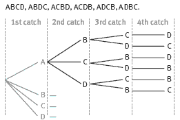 Tree diagram.