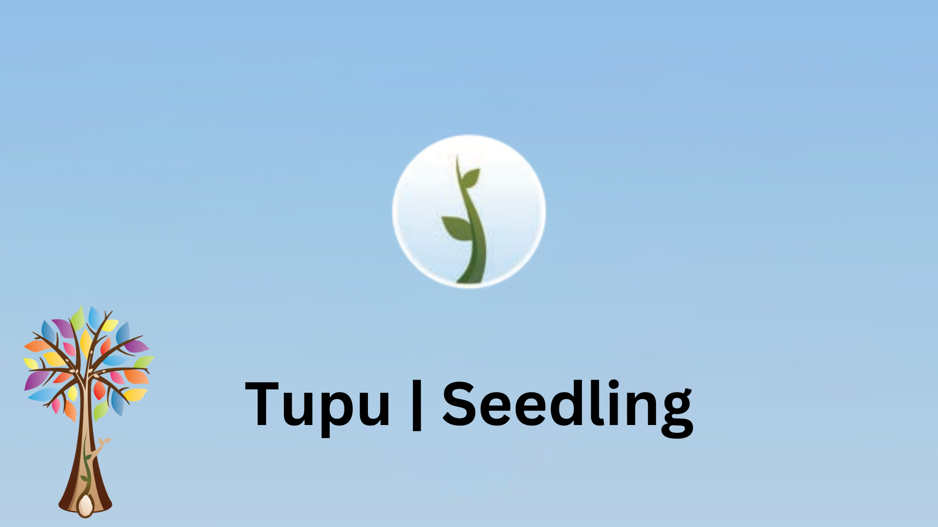 Central image of seedling inside blue circle with Ready to Read Phonics Plus tree to the left. Central Text saying Tupu | Seedling