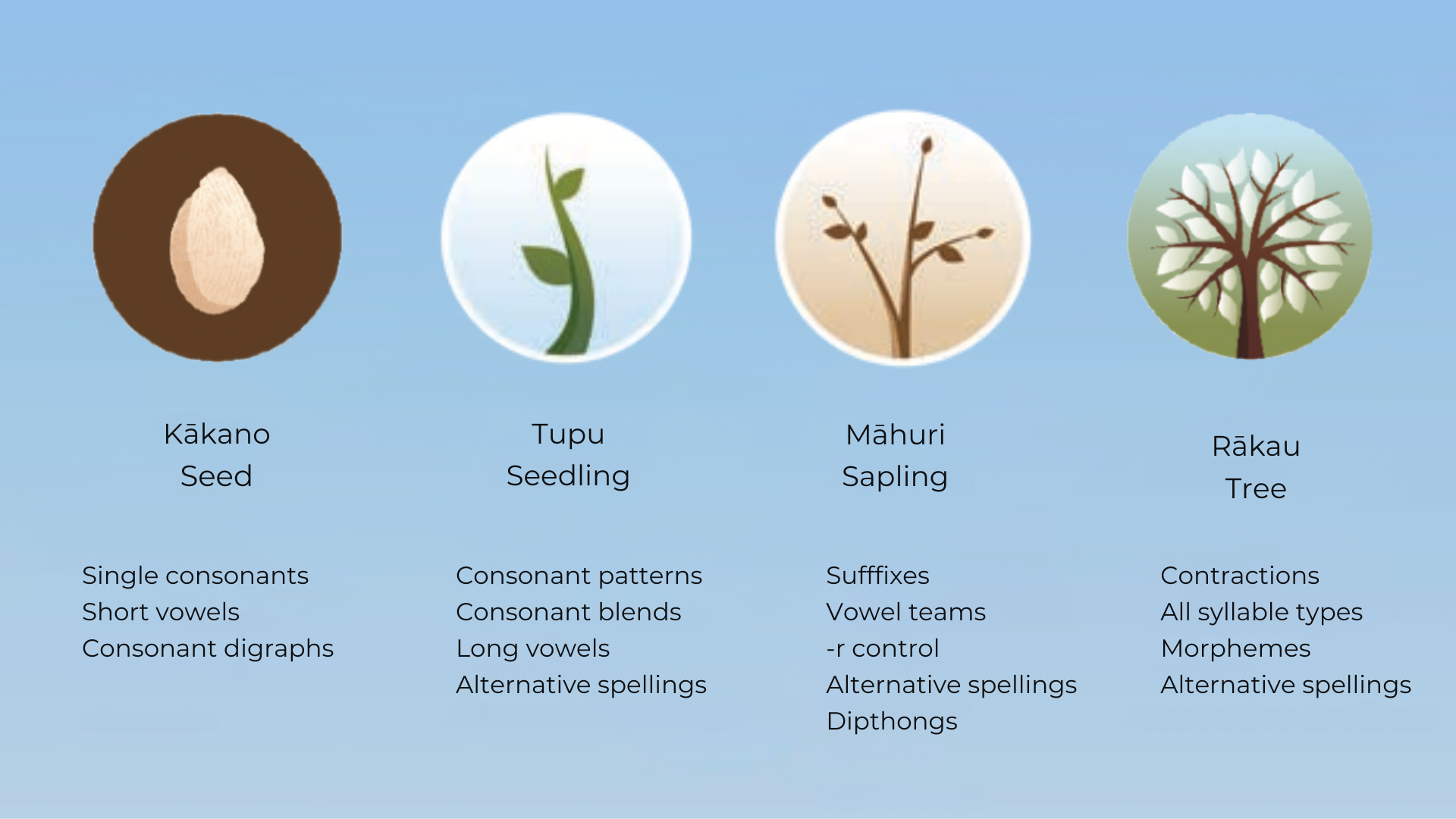 An image showing the icons of the four phases of the Ready to Read Phonics Plus which are Kākano a seed, Tupu a seedling, Māhuri a sapling, and Rākau a tree. Under each icon is a summary of what is taught in that phase.