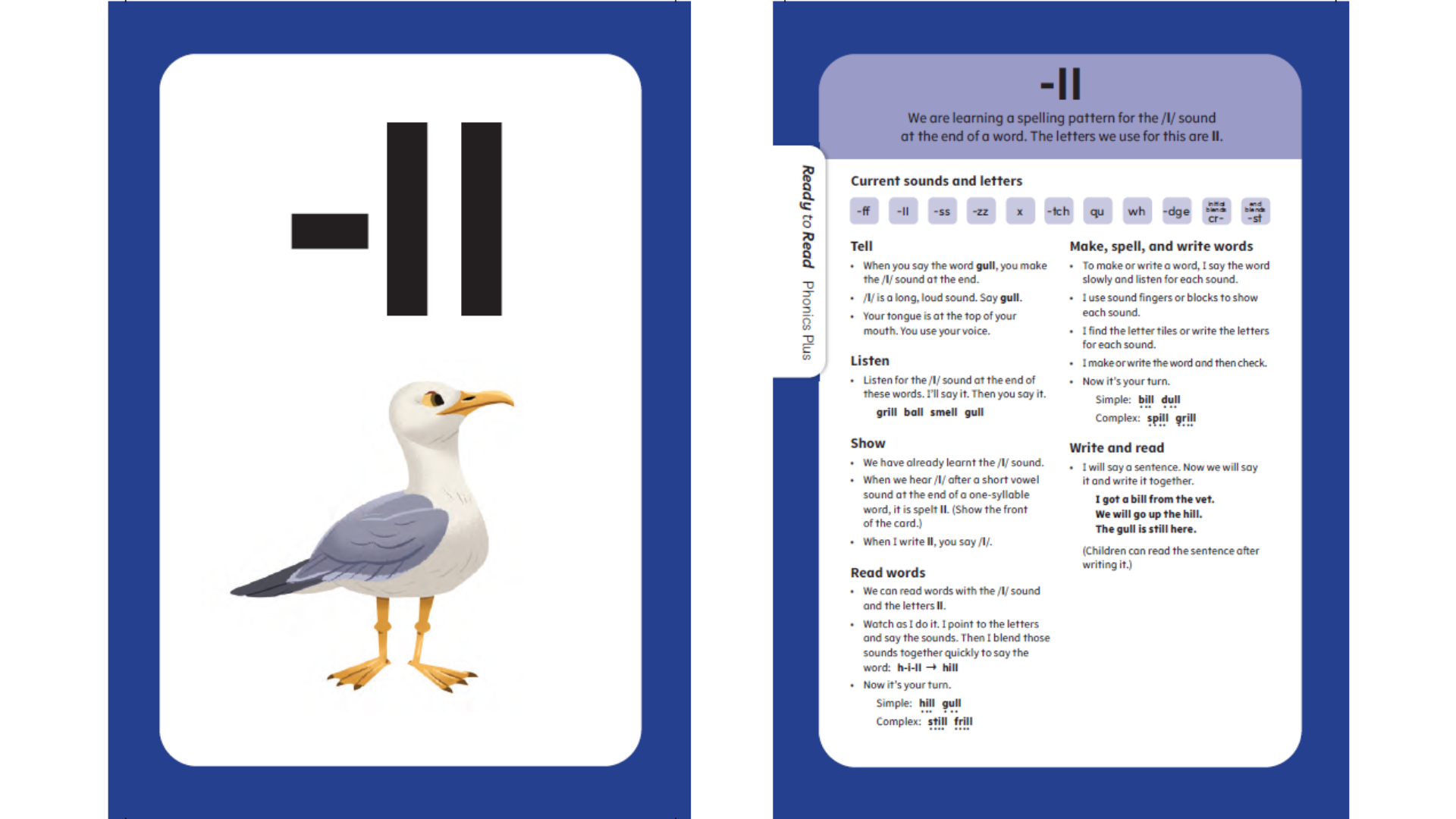 A preview of a Tupu phonics card with a seagull and the letters ll