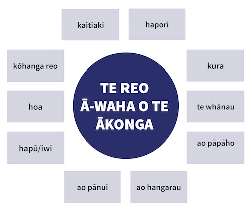 He whakaahua e whakaatu ana i te aria mō te reo ā-waha o te ākonga.png