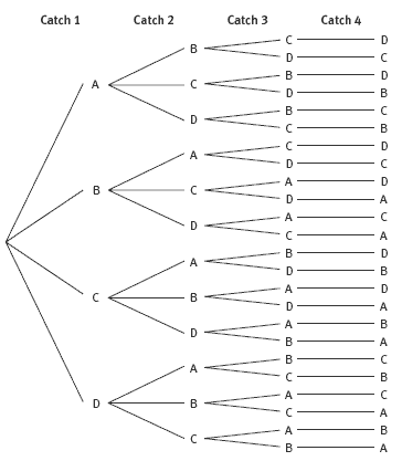 Tree diagram.