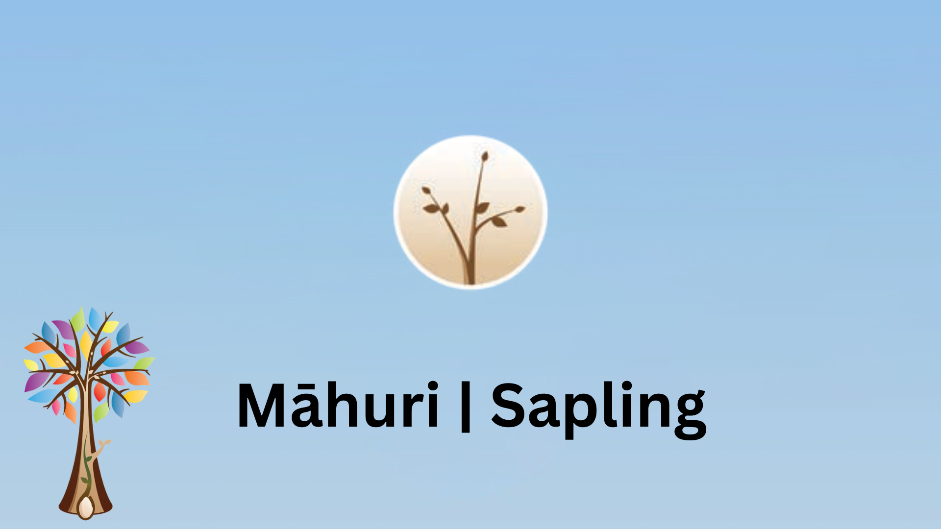 Central image of sapling inside brown circle with Ready to Read Phonics Plus tree to the left. Central Text saying Māhuri | Sapling