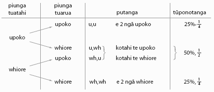 He whakaahua e tautoko ana i ngā ākonga kia whai māramatanga ki ngā mahi pāngarau 